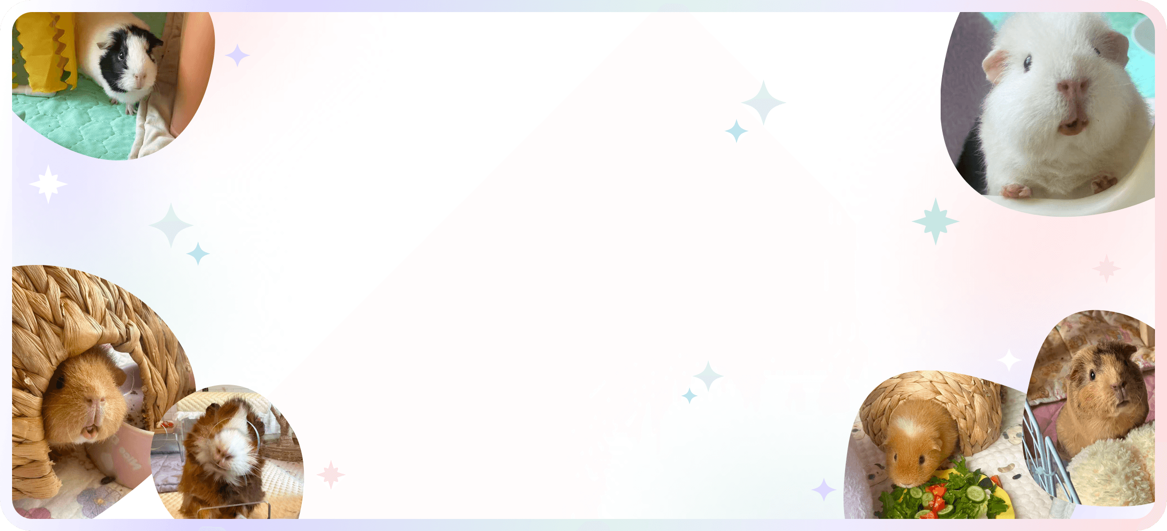 Boarding Banner Background
